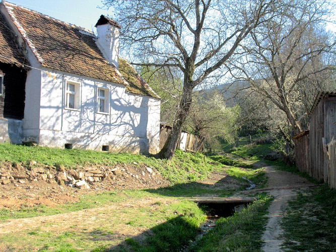 Saliste – chemin descendant du massif de Cindrel.