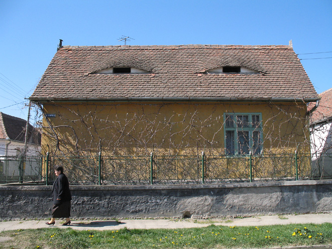 Maison typique de Sibiu, avec sa vigne et ses lucarnes en forme d’yeux.