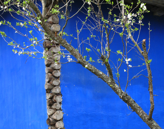 maison traditionnelle bleue.