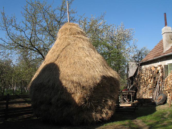 cour de ferme à Saliste.