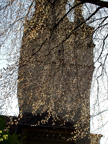 Sighisoara – Tour de l’Horloge – maison du Conseil.