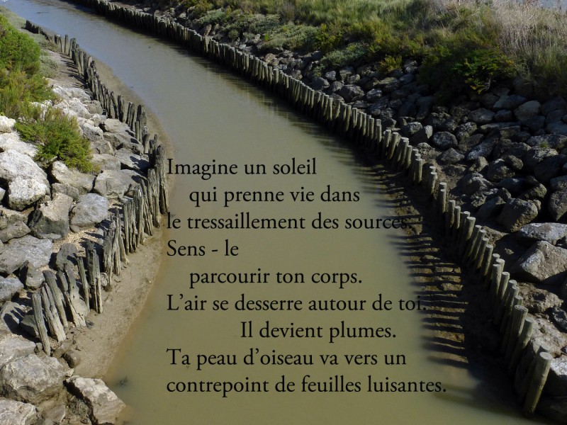 YPH-2014-08-18-texte-MC-Bancquart