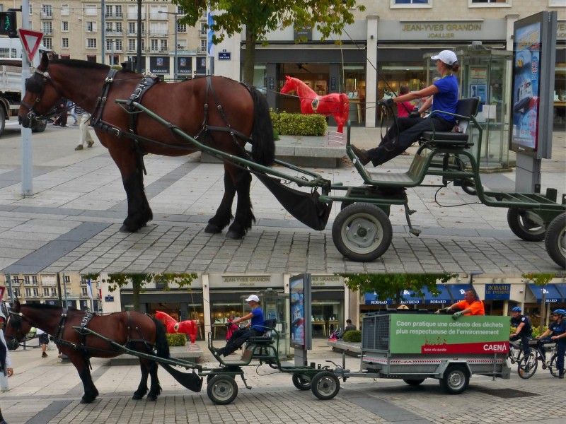 YPH-2014-09-02-2-chevaux-w