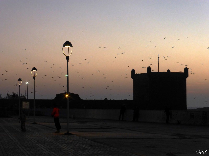 YPH-2014-12-23-Essaouira