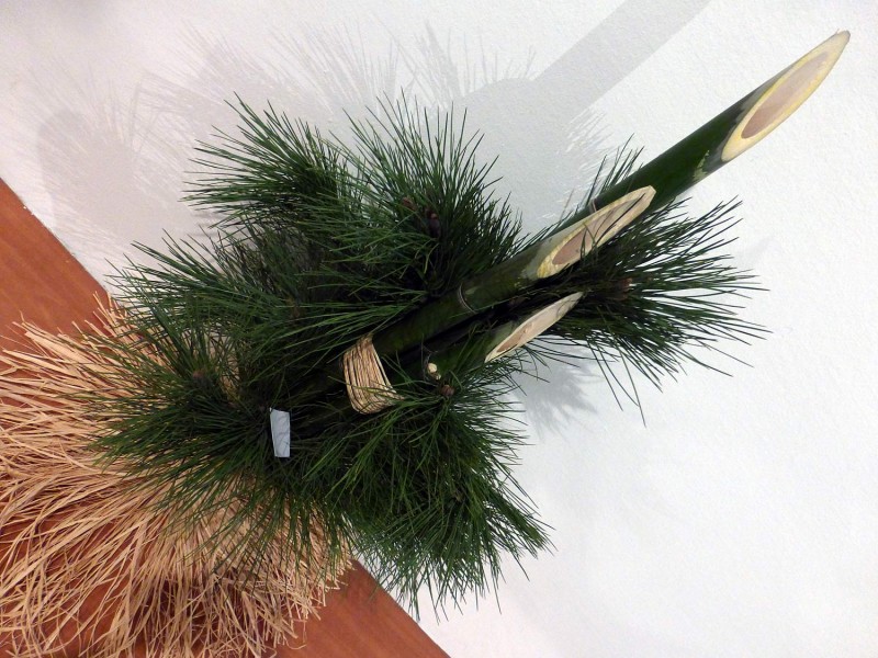 YPH-2015-02-06-sapin
