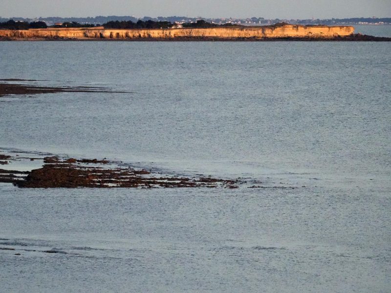 YPH-2016-07-05-DSC01247