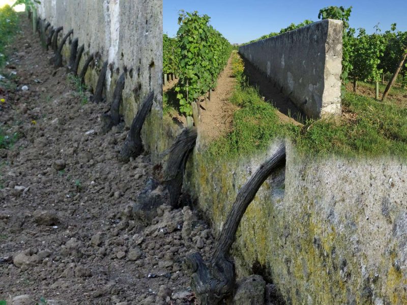 YPH-2016-07-22-clos-entre-les-murs