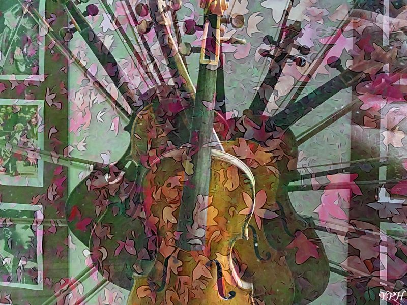 yph-2016-12-15-violons
