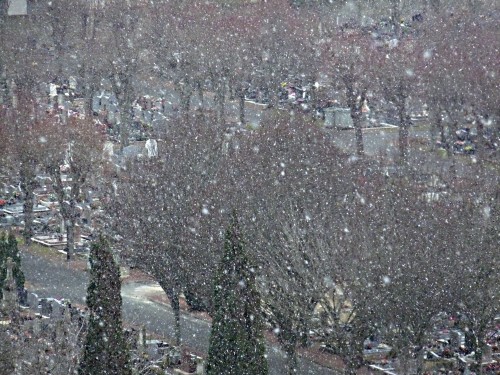 YPH-2010-01-03-40667w