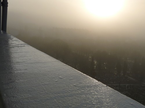 YPH-2010-01-21-40743w