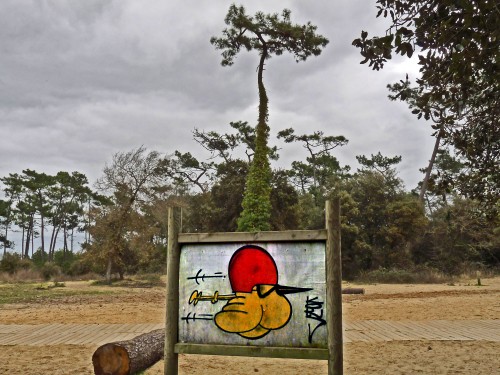 YPH-2010-03-23-plage-w