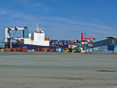 YPH-2010-03-25-60305w