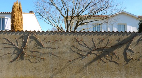 YPH-2010-04-07-60542w