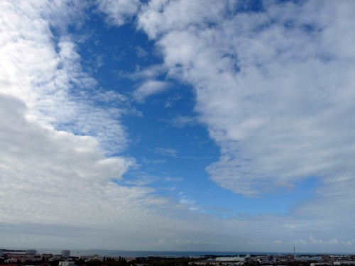 YPH-2010-05-03-60957w