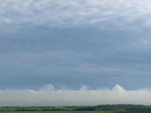 YPH-2010-05-11-60965w