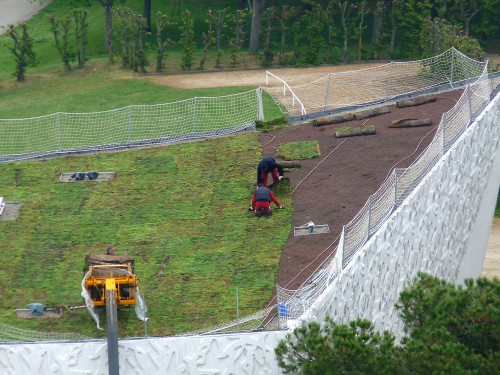 YPH-2010-05-14-60972w